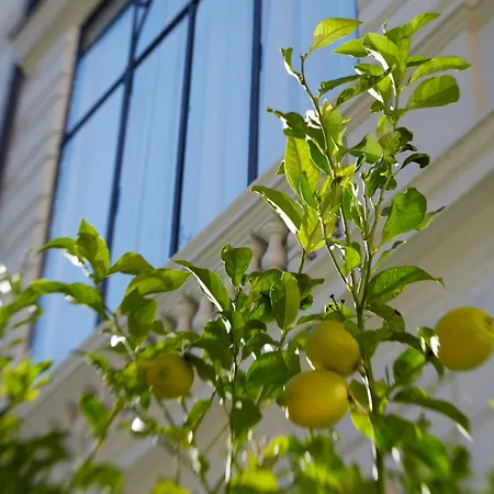 מלון Palazzo Dama - & - Preferred & 5*