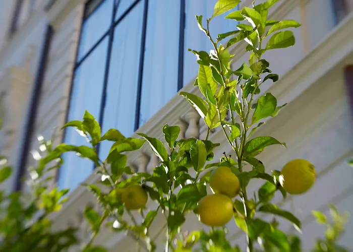 Hotel Palazzo Dama - & - Preferred & 5*